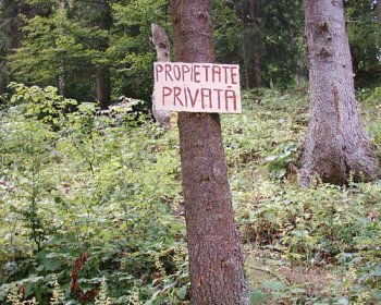 The Institution of Private Property 